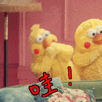 timg.gif